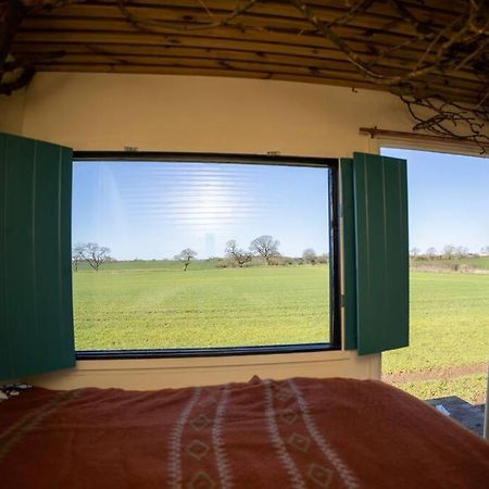 'Pipistrelle' Remote Off-Grid Micro Cabin Villa Sedgefield Exterior photo