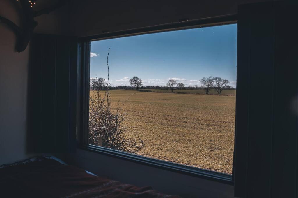 'Pipistrelle' Remote Off-Grid Micro Cabin Villa Sedgefield Exterior photo