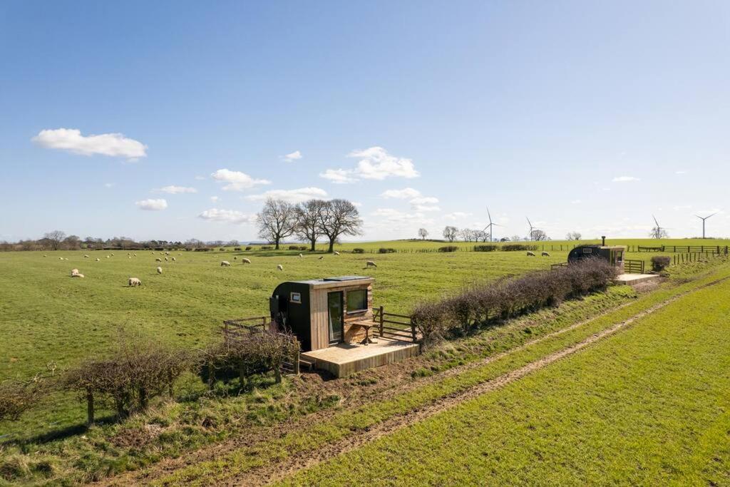 'Pipistrelle' Remote Off-Grid Micro Cabin Villa Sedgefield Exterior photo